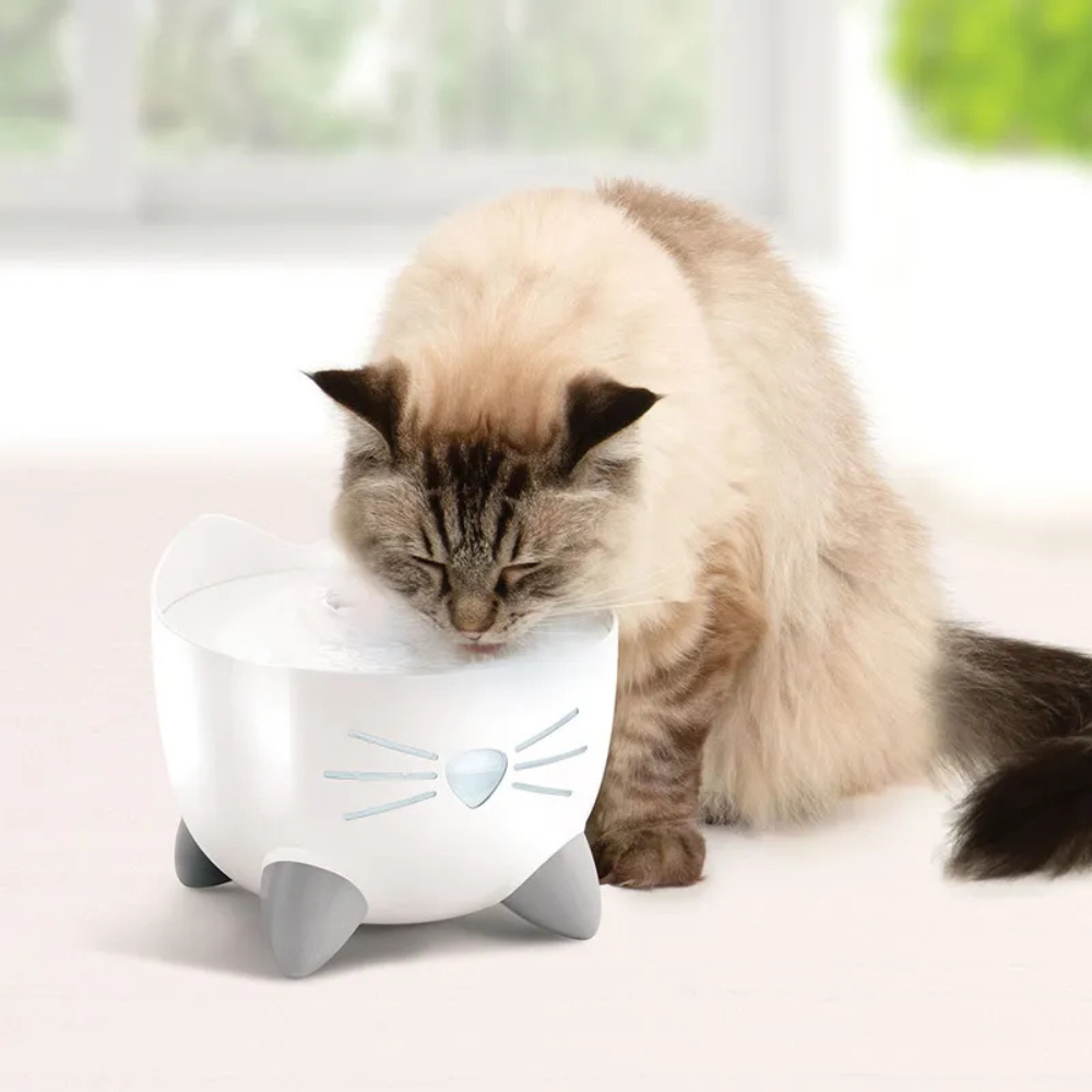 Fontaine à eau pour Chat Pixi-4 Fontaine à eau pour Chat Pixi