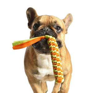 Scouby Jouet en Nylon pour Chien