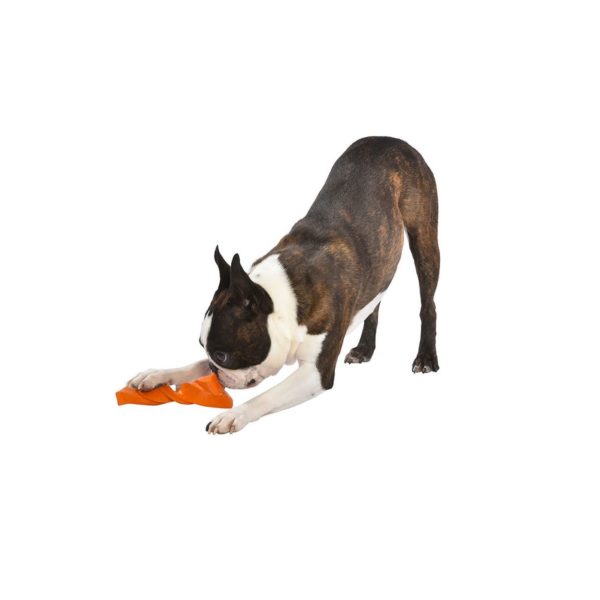 Jouet pour Chien Twist orange