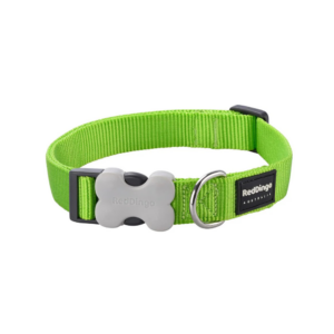collier pour chien en nylon vert lime reddingo