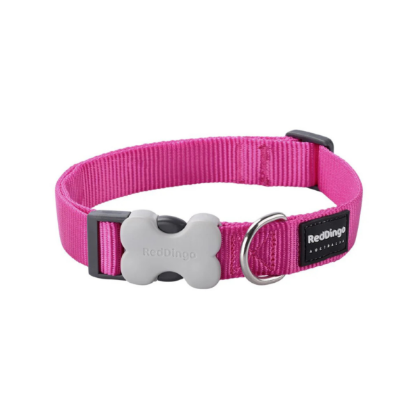 collier pour chien en nylon fuchsia reddingo