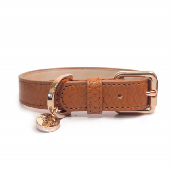 collier-pour-chien-safira-camel