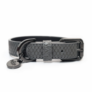 collier-pour-chien-safira-gris
