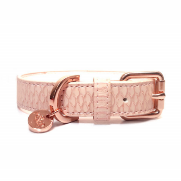 collier-pour-chien-safira-rose.