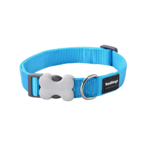 collier pour chien en nylon turquoise reddingo