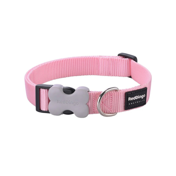 collier pour chien en nylon rose reddingo