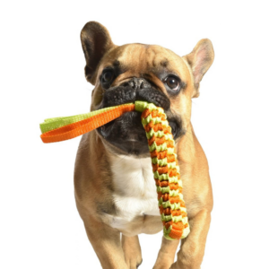 jouet-scouby-en-nylon-pour-chien