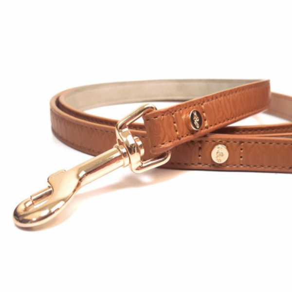laisse-pour-chien-safira-camel