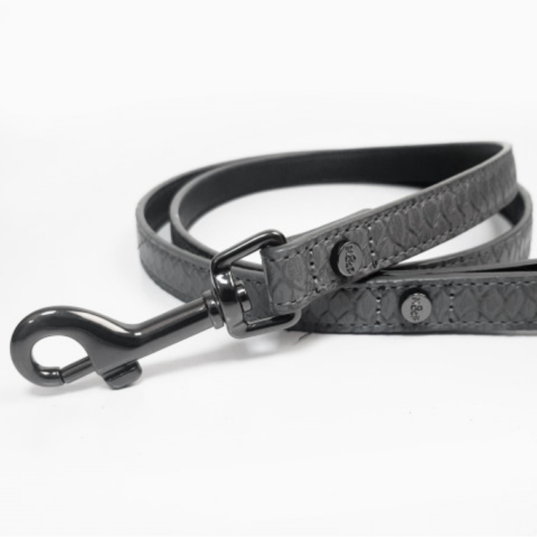 laisse-pour-chien-safira-grise