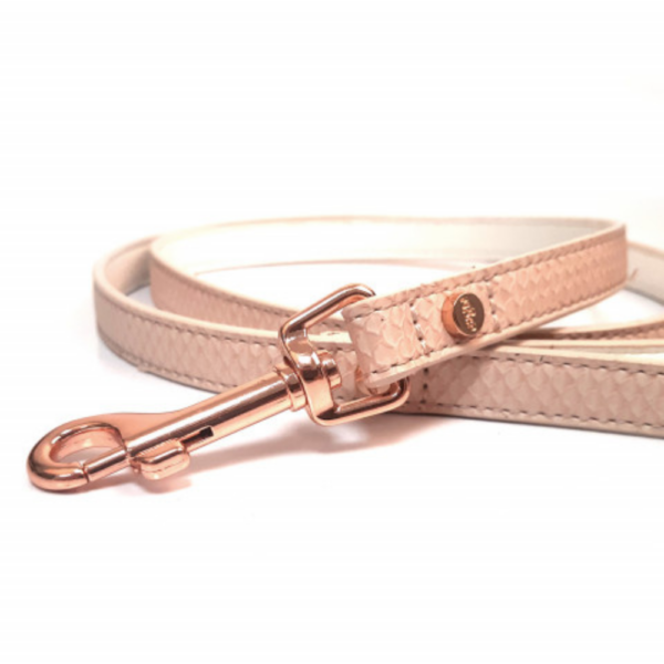 Laisse pour Chien Safira Rose