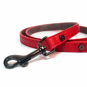 laisse-pour-chien-safira-rouge