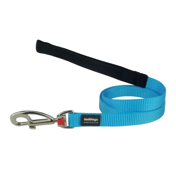 Laisse Turquoise RedDingo