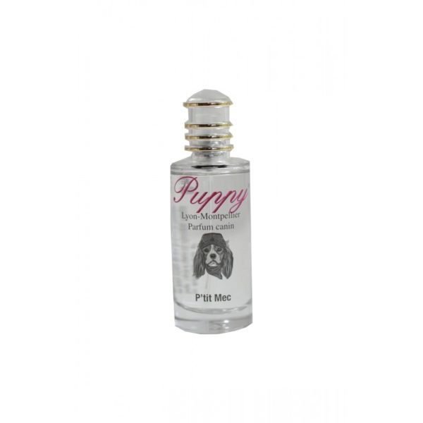 PARFUM PTIT MEC