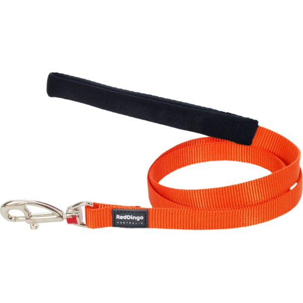 laisse orange reddingo