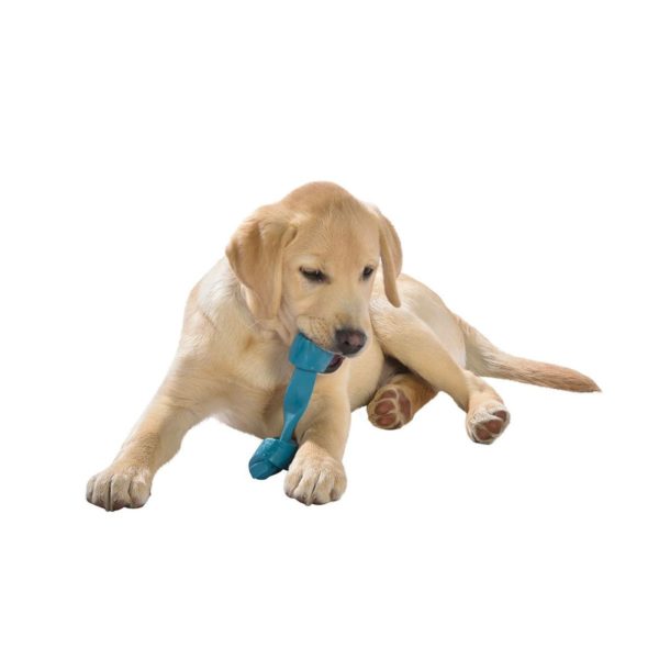 jouet-pour-chien-rope-bleu