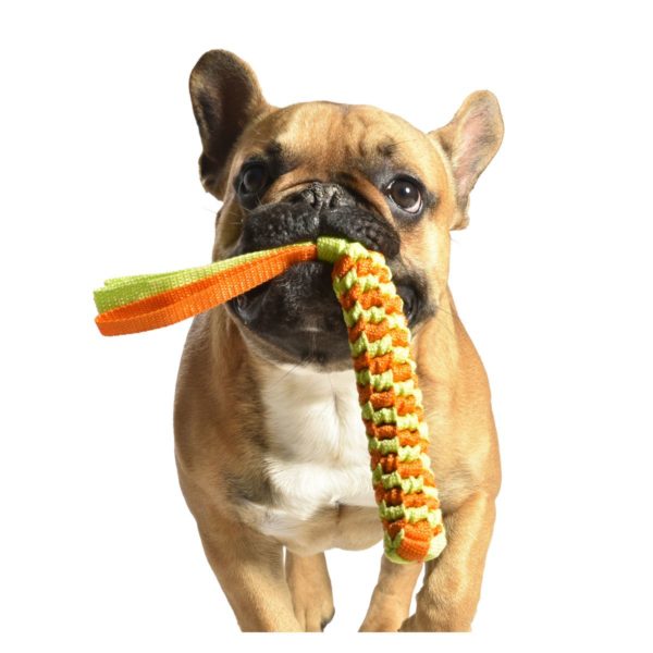 JOUET POUR CHIEN SCOUBY