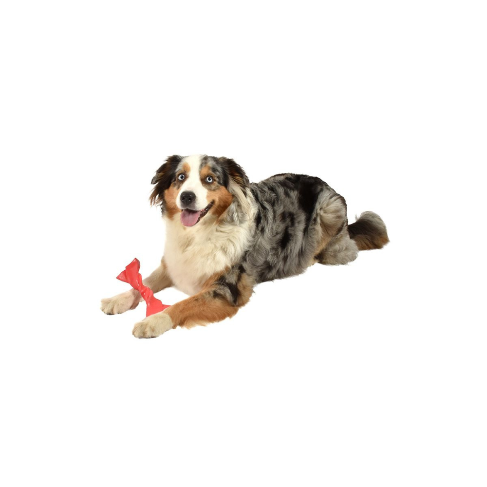 twist-framboise-chien-bobby Jouet pour Chien Twist Framboise