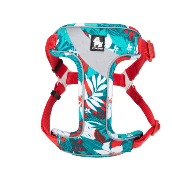 harnais camouflage fleuri pour chien