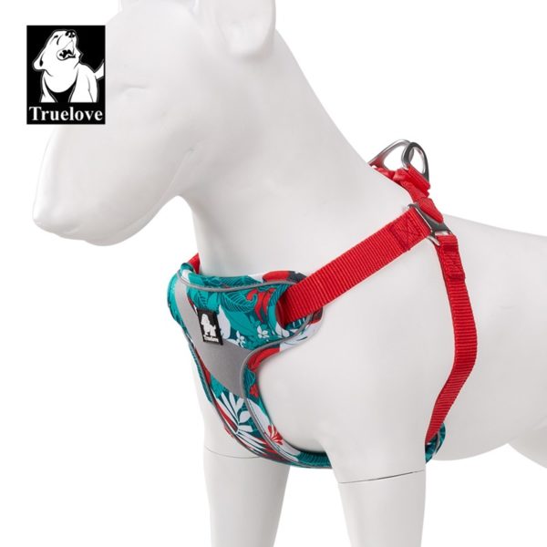 harnais camouflage fleuri pour chien