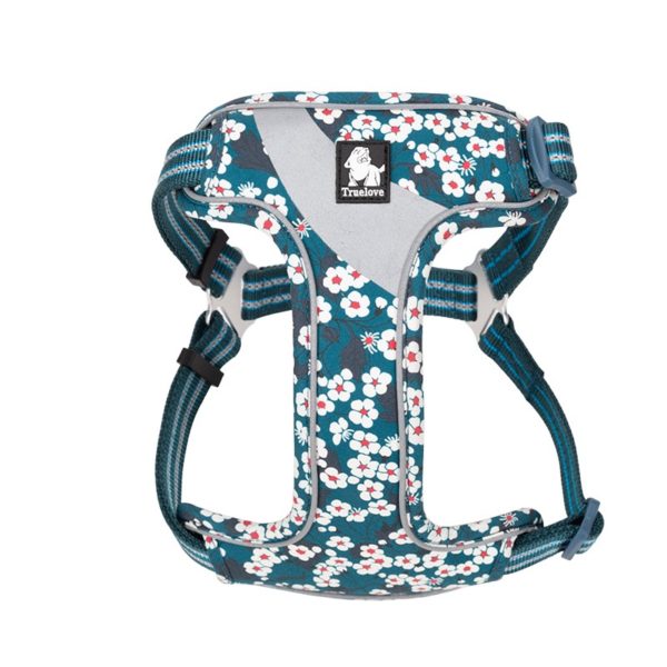 Harnais pour Chien Hunting Bleu