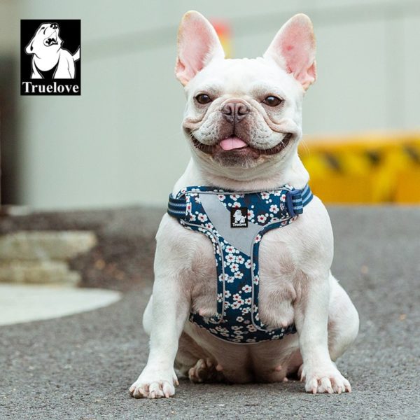 Harnais pour Chien Hunting Bleu