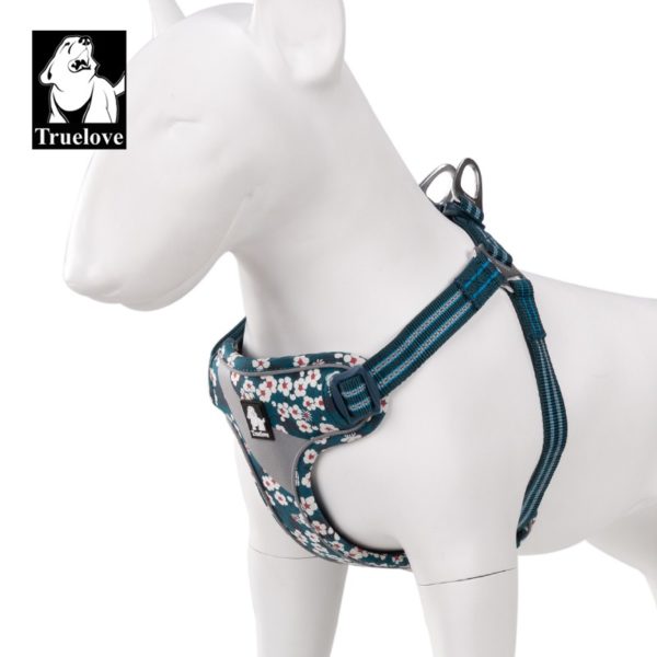 Harnais pour Chien Hunting Bleu