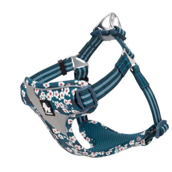 Harnais pour Chien Hunting Bleu