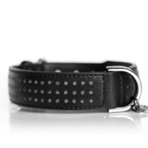 Collier pour Chien Amaya Noir