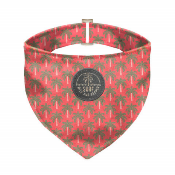 bandana-lola-orange-pour-chien-et-chat