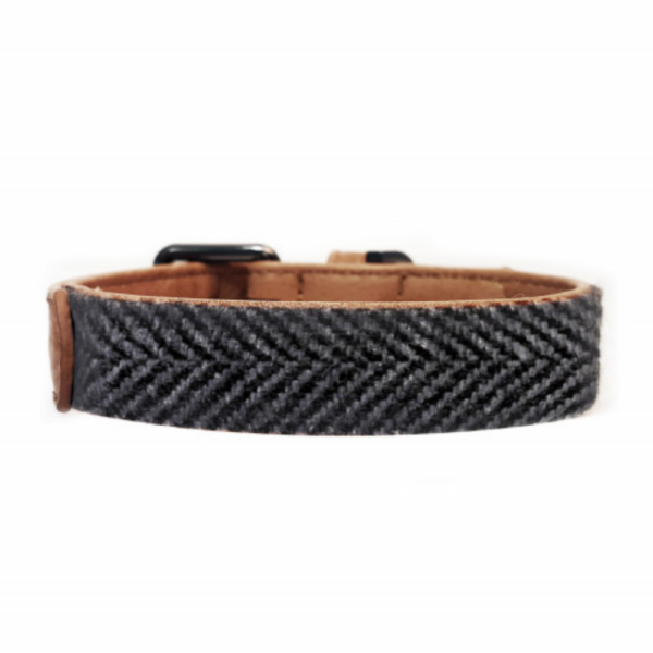 collier-pour-chien-archibald-en-tweed