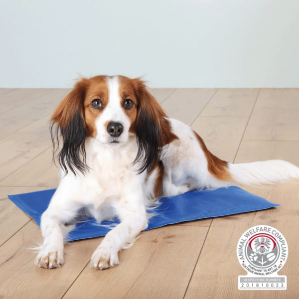 matelas rafraîchissant pour chien et chat