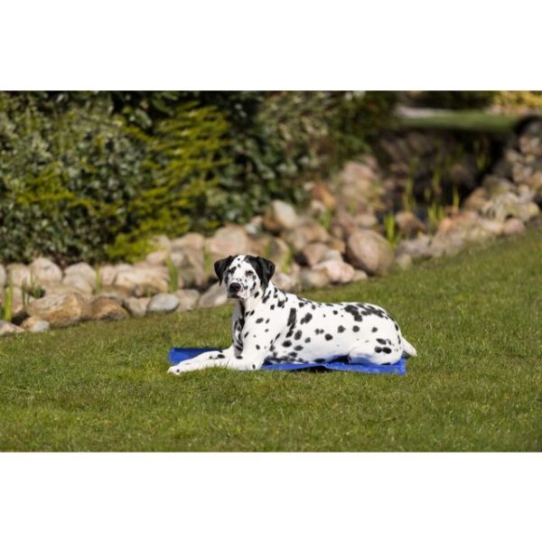 matelas rafraîchissant pour chien et chat