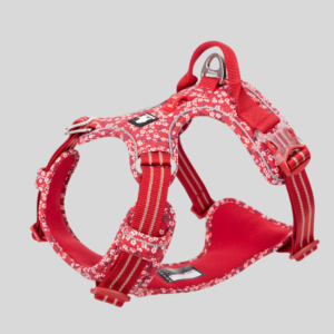 harnais-anti-traction-poppy-pour-chien-country