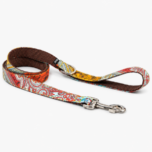 laisse-classique-sacaleta-multicolore-pour-chien
