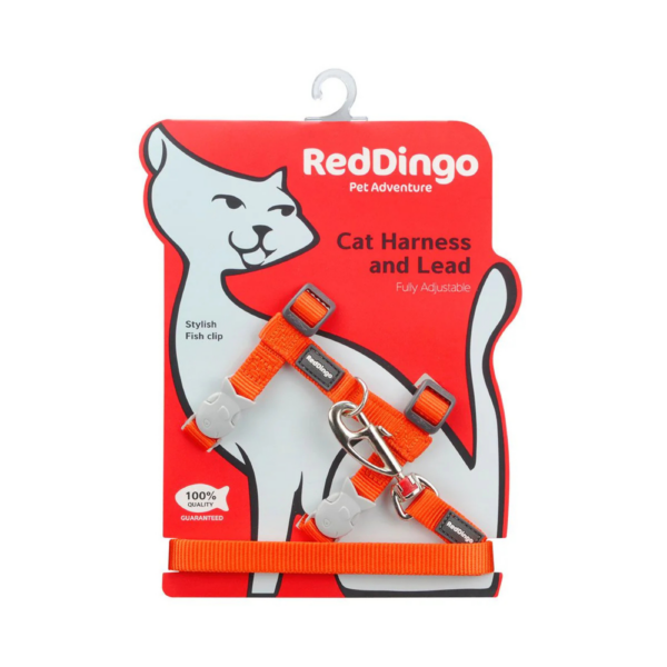 Harnais pour Chat Orange et sa Laisse