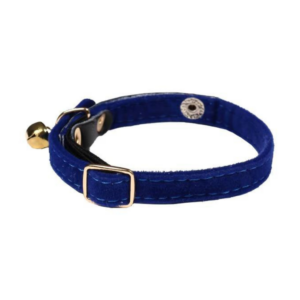 collier pour chat en velours bleu