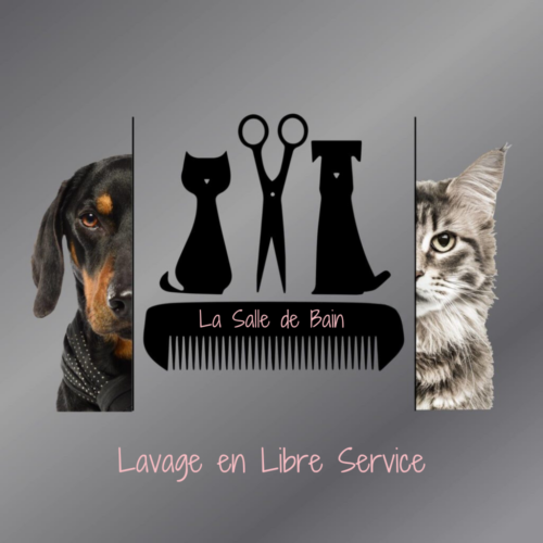 espace de lavage en libre service espac