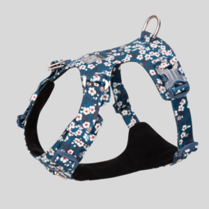 harnais-anti-traction-pour-chien-colorado-saxony-bleu