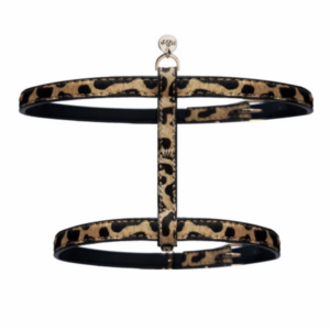 harnais-pour-chat-leopard
