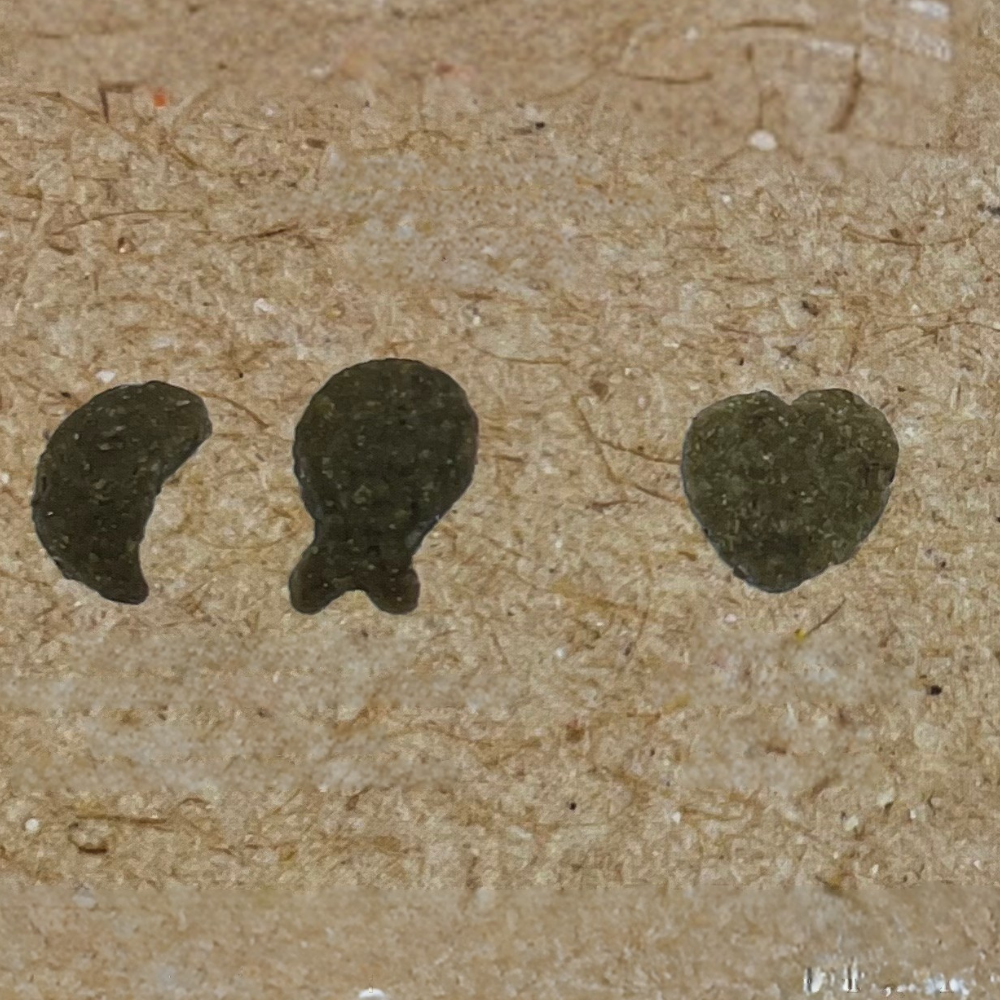 4 Calendrier de l'Avent pour Chat-wouapy