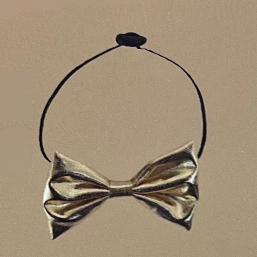 Calendrier de l’Avent pour Chien Wouapy-2 Calendrier de l’Avent pour Chien Wouapy