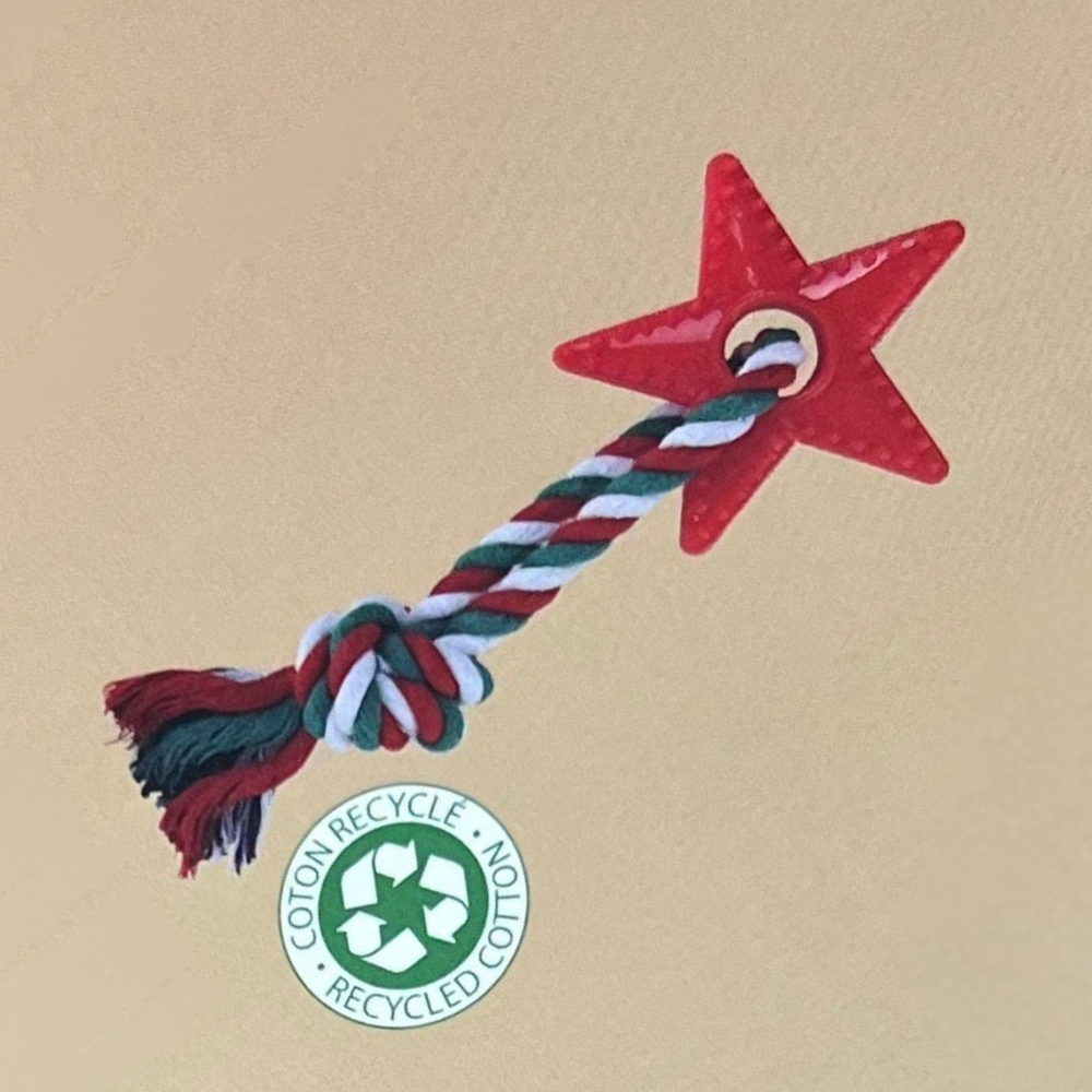 Calendrier de l’Avent pour Chien Wouapy-3 Calendrier de l’Avent pour Chien Wouapy