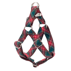 harnais-step-in-beret-ecossais-vert-pour-chien
