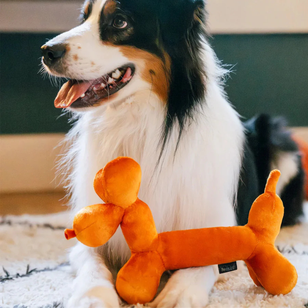 Peluche pour chien Balloon Buddy-3 Peluche pour chien Balloon Buddy