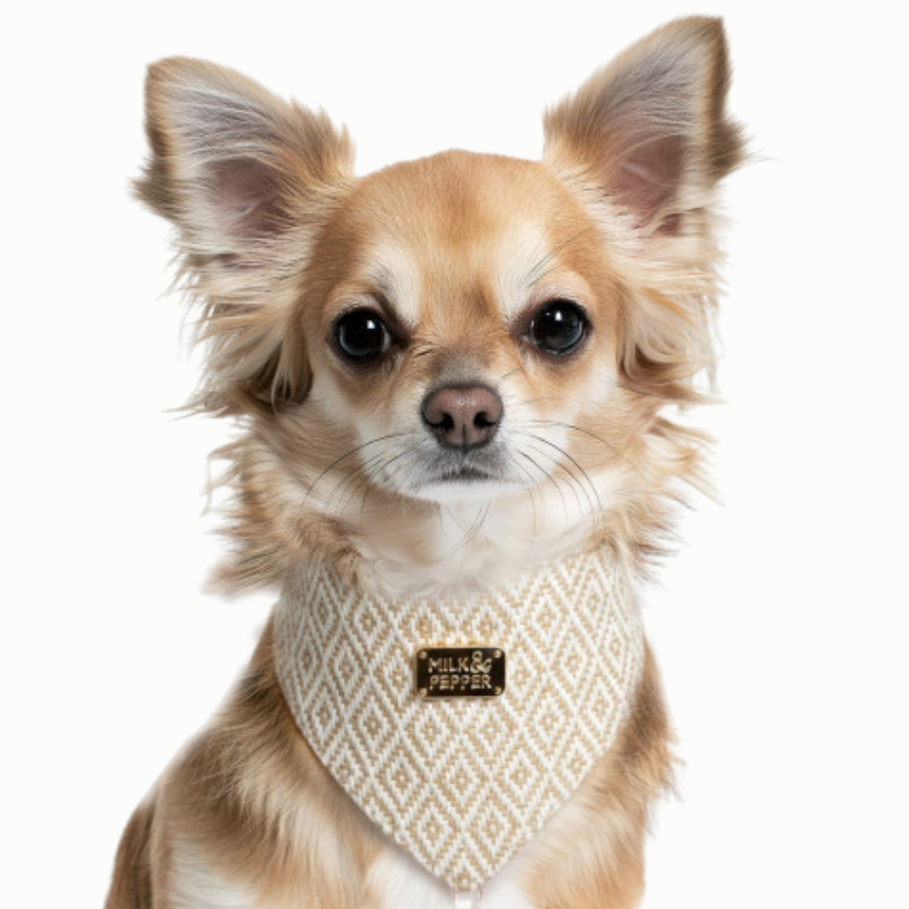 bandana-beige-et-ecru-jabali-3 bandana-beige-et-ecru-jabali