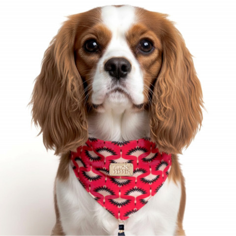bandana-fuchsia-et-rose-julia-2 bandana-fuchsia-et-rose-julia