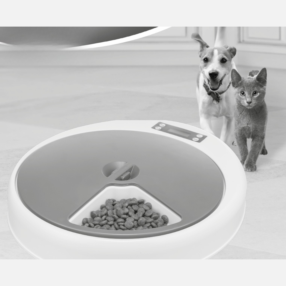distributeur-automatique-de-nourriture-pour-chien-et-chat