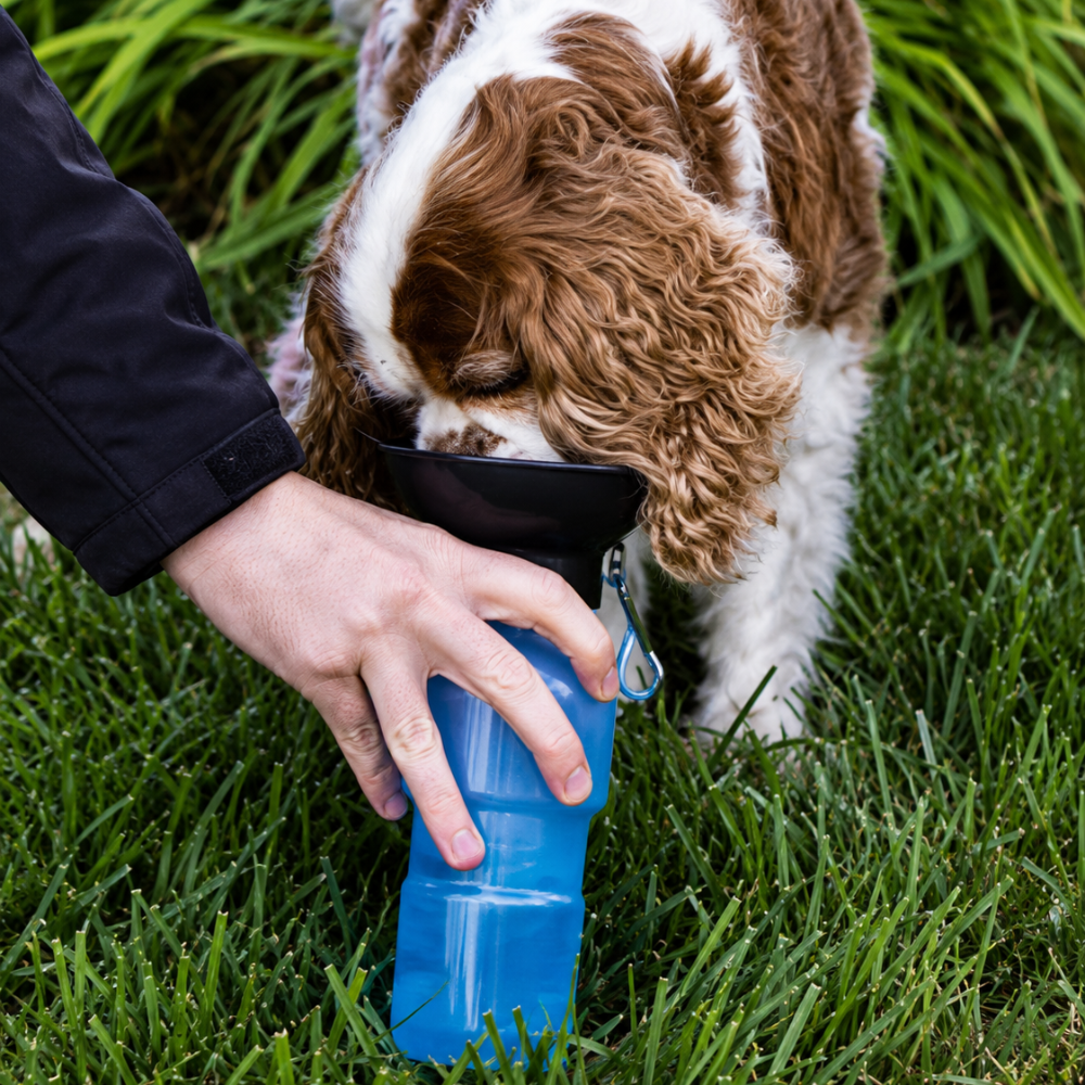gourde-pour-chien-avec-bol-integre-bleue-3 gourde-pour-chien-avec-bol-integre-bleue
