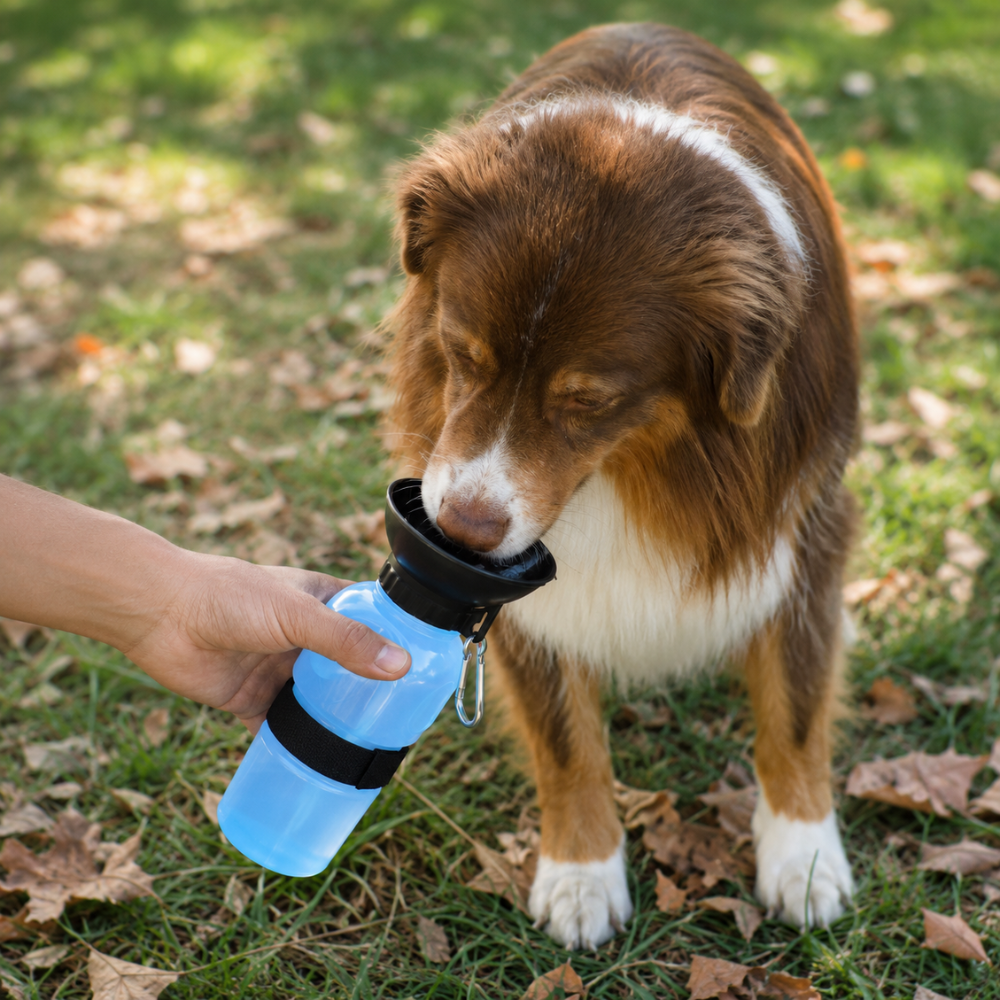 gourde-pour-chien-avec-bol-integre-bleue-4 gourde-pour-chien-avec-bol-integre-bleue