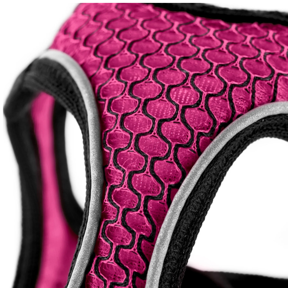 harnais-hilo-confort-fuchsia--2 harnais-hilo-confort-fuchsia